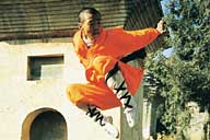 Shaolin Wheel Of Life Monks jump